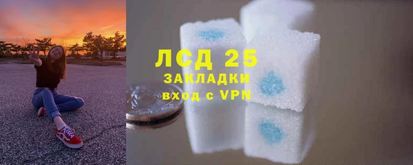 гидра Алексеевка