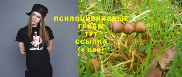каннабис Алзамай