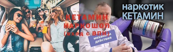 гидра Алексеевка