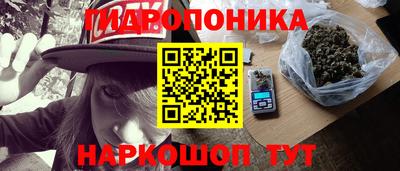 дживик Новозыбков