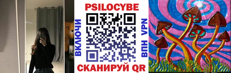 Псилоцибиновые грибы Psilocybine cubensis закладки Старый Оскол
